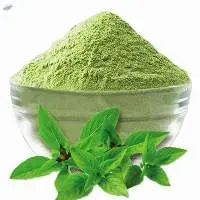 Tulsi Powder