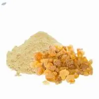 Boswellia Extract