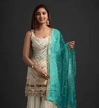 Ct 1003 Georgette Embroidered Salwar Kameez