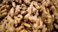Ginger