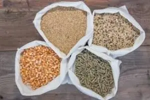Poultry And Animal Feeds