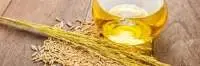 Rice Bran Oil