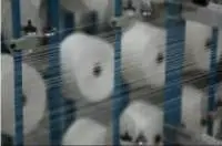 Spin 12
