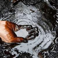 Export Grade Crude Petroleum Oil 