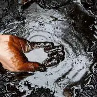 Export Grade Crude Petroleum Oil 