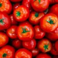 Fresh Ripe And Flavorful Tomatoes