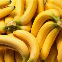 High Quality Tropical Farms Banana
