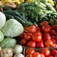 Fresh Harvested Premium Vegetables 