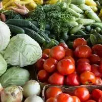 Fresh Harvested Premium Vegetables 