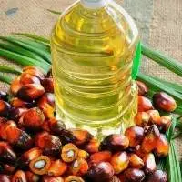 Pure Red Palm Oil