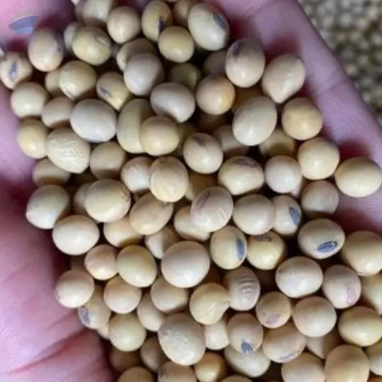 Soybeans