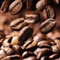 Coffee Arabica