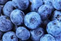 Frozen Tropical Fruits in Pieces - IQF