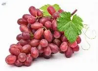 Crimson Seedless Grapes
