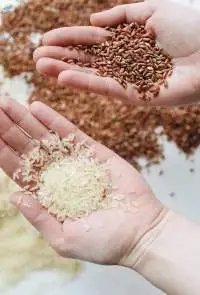 Premium 1121 Creamy Sella Basmati Rice