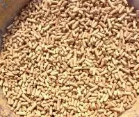 Cattle Feed