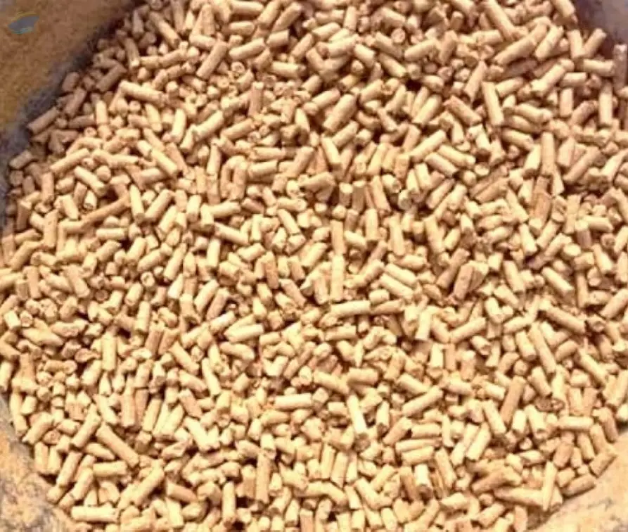 Cattle Feed