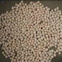Single Super Phosphate SSP 15%