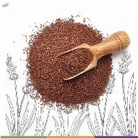Finger Millet