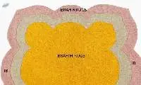 Irregular Shape Handtufted Rug