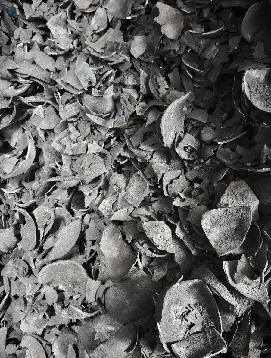 Coconut Shell Charcoal