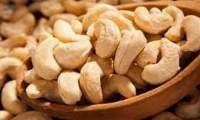 Cashew Nut