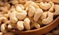Cashew Nut