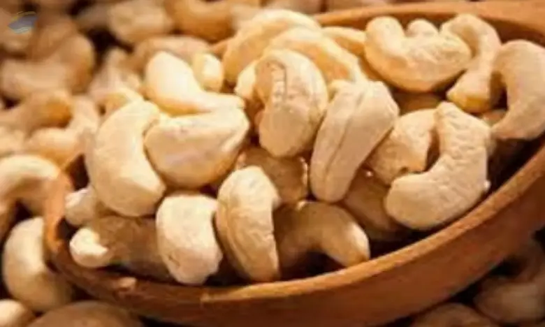 Cashew Nut