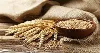 Whole Wheat
