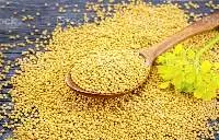 Mustard Seeds