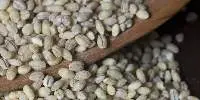 Pearled Barley