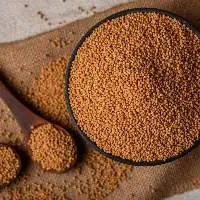Mustard Seeds Yellow