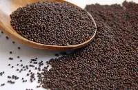 Mustard Seeds Brown