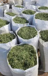 Animal Feed Alfalfa Hay