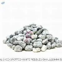 Watermarked Polished Spotted White Pebbles