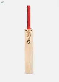 ZAP Signature Rare Edition Premium Willow Bat