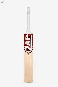 ZAP Instinct Kashmir Willow Bat