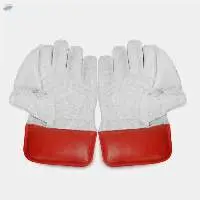ZAP Instinct Wicket Keeping Gloves