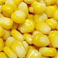Frozen Corn
