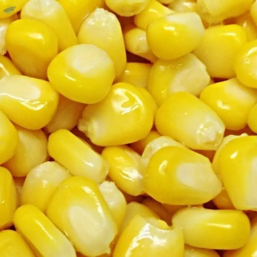 Frozen Corn