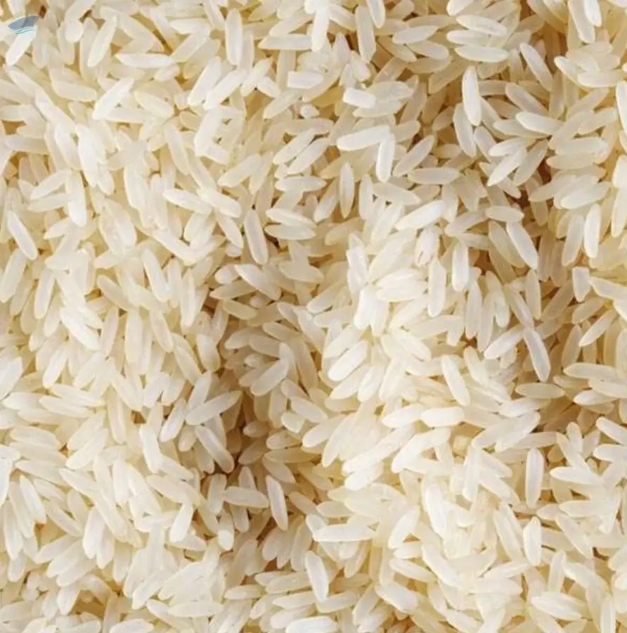 White Rice