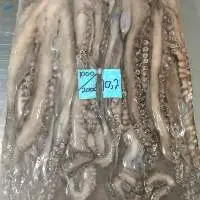 Frozen Octopus