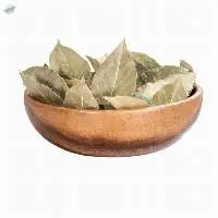 Bay leaf