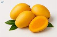 Alphonso Mangoes