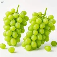 Fresh Grapes