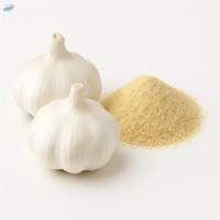 Dehydrated Garlic Powder