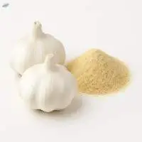 Dehydrated Garlic Powder