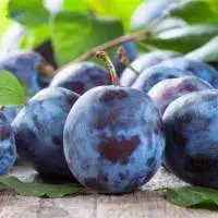 Premium Quality Plums From Moldova