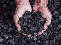 Petroleum Coke