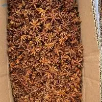 Star anise